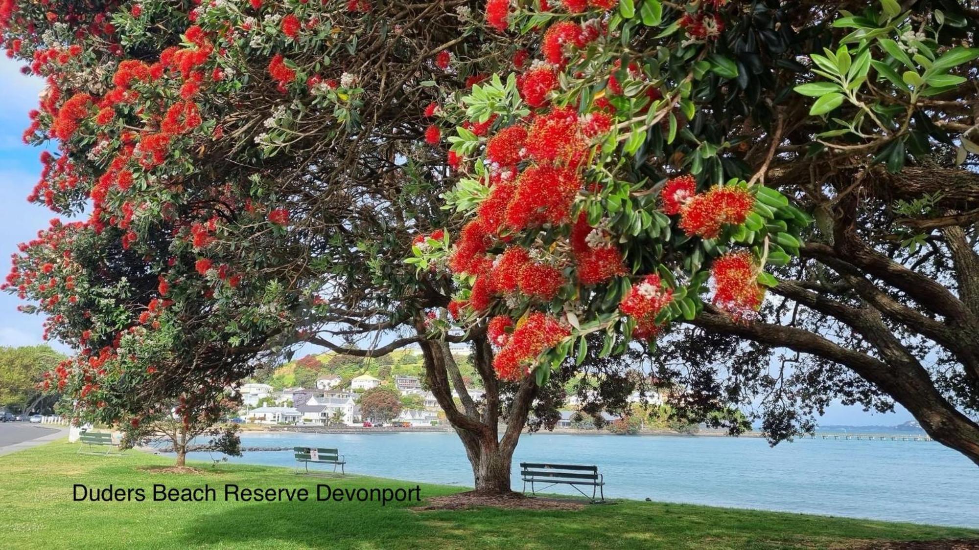 The Partchery Devonport Auckland Kültér fotó